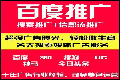 跨行业SEM广告投放的多样化案例分析